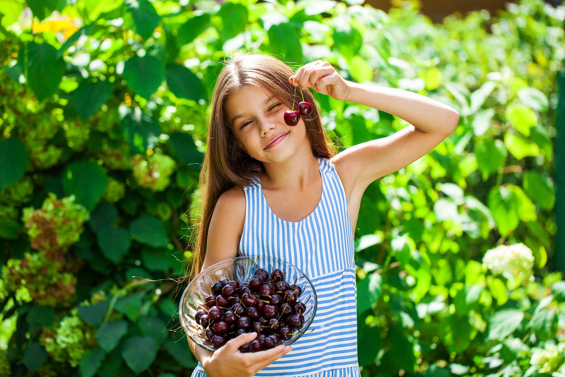 Cherry-trees-require-full-sun