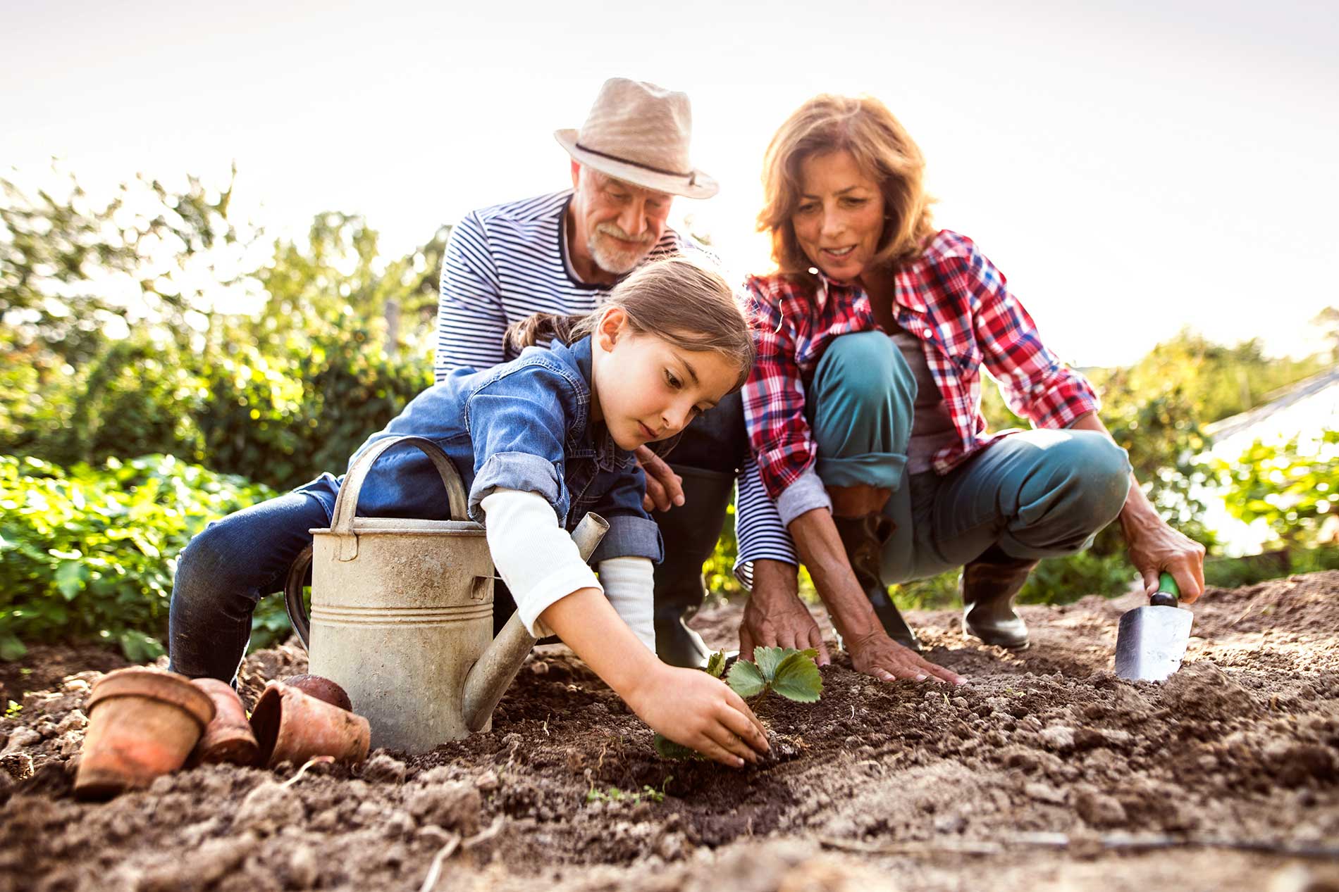 Checklist-for-Landscaping-twinriverstreeservice