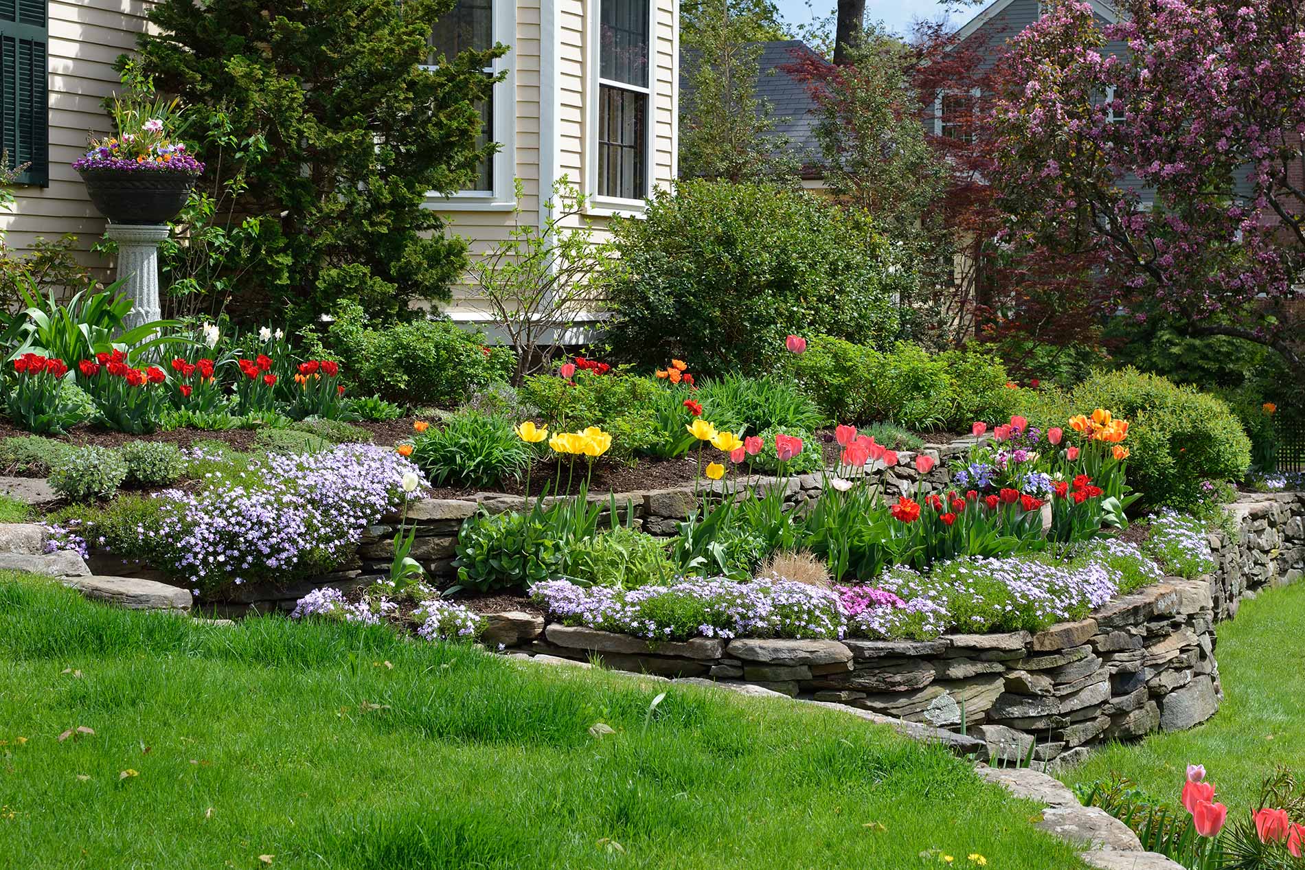 Professional-Landscaping-Services-twinriverstreeservice