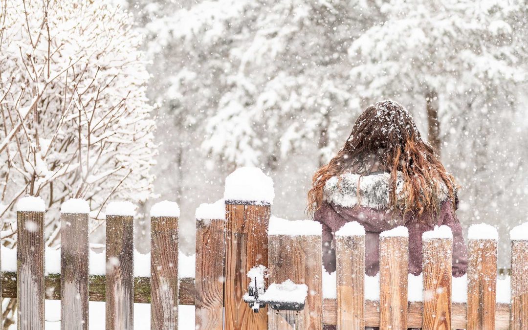 How To Protect Trees From Snow Load