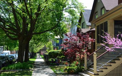 The Benefits of Urban Trees