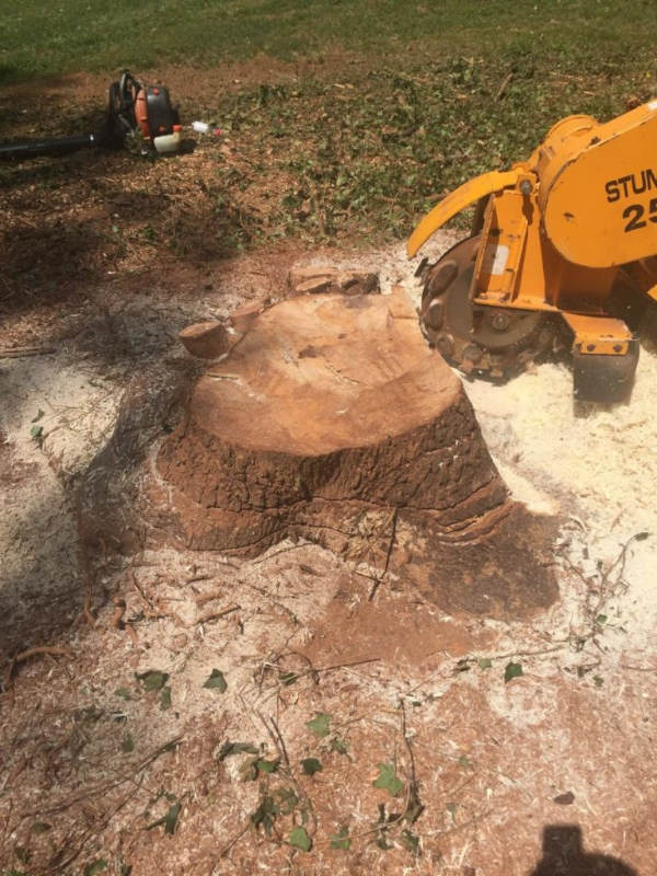 Stump removal